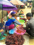 Quyến luyến chợ phiên Cán Cấu miền sơn cước Lào Cai